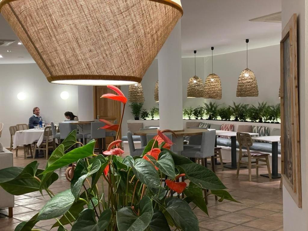 Boutique Hotel El Tio Kiko Агуа Амарга Екстериор снимка